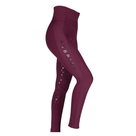 Rijlegging Eltar jonge ruiter Shires Aubrion