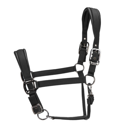 Gewatteerde halster Pro Shires Arma
