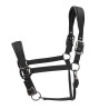 Gewatteerde halster Pro Shires Arma - Blauw