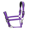Gewatteerde halster Pro Shires Arma - Violet