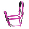 Gewatteerde halster Pro Shires Arma - Framboos