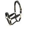 Gewatteerd halster Shires Arma - Zwart