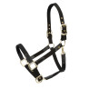 Halter Porto Shires Arma - Zwart