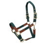 Halter Porto Shires Arma - Groen