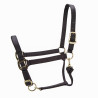 Verstelbaar halster Premium Shires Arma - Zwart