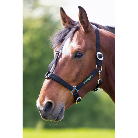 Shires Greenguard halster