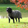 Gewaxte jas Shires Digby & Fox - Olijfkleurig