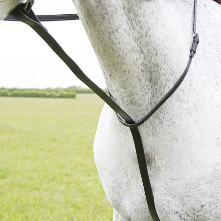 Shires Velociti Gara vaste martingaal