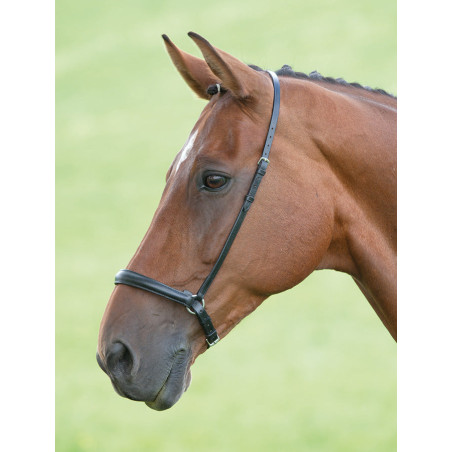 Duitse neusriem Shires Velociti Gara