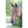 Duitse neusriem Shires Velociti Gara - Bruin