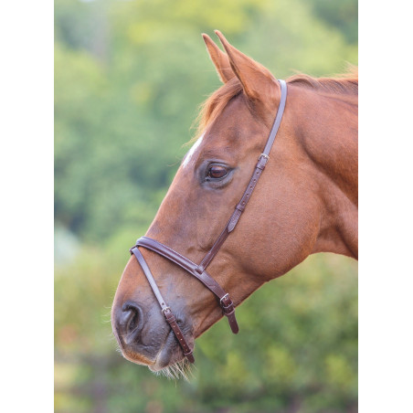 Shires Velociti Gara Franse gecombineerde neusriem met sperriem