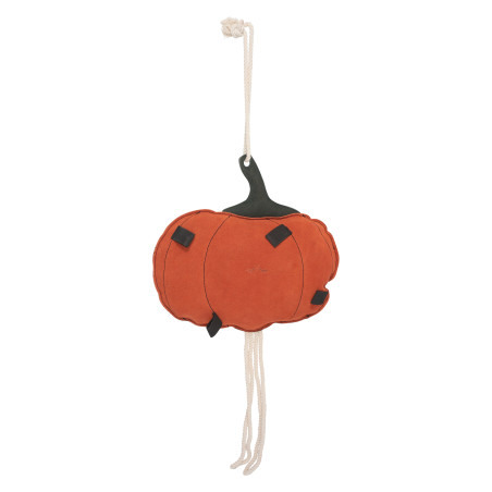 Stalspeeltje HV Polo Pumpkin