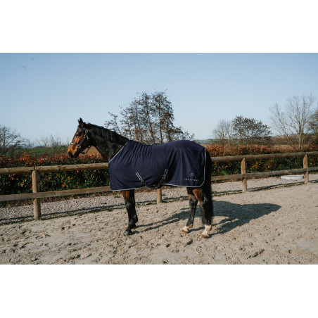 Fleece deken Equithème EK-Heavy Glitter