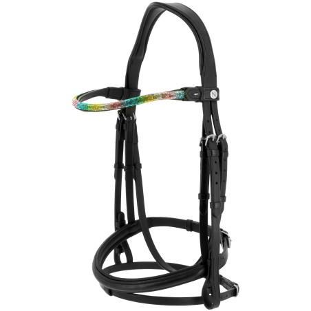 Norton PRO Rainbow Hoofdstel