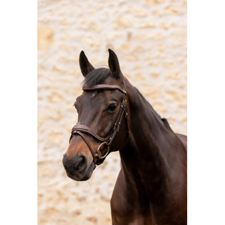 Hoofdstel K van Equithème K-Kontour