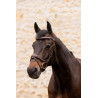 Hoofdstel K van Equithème K-Kontour - Bruin