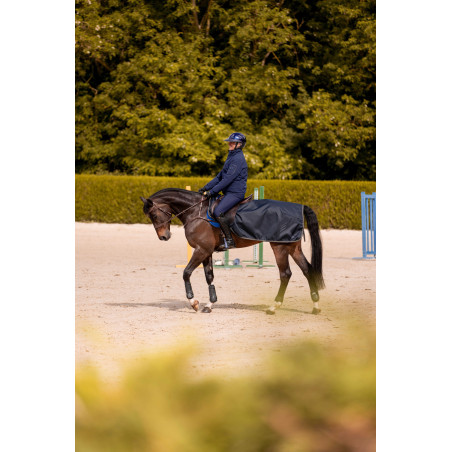 Nierstuk K van Equithème K-Embrun