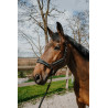 Halster + touw Equithème Coco - Zwart
