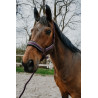 Halster + touw Equithème Coco - Pruim