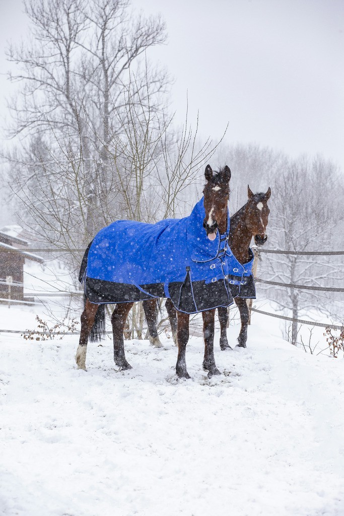 Equithème Tyrex 1200D Aisance High Neck deken Blauw / zwart