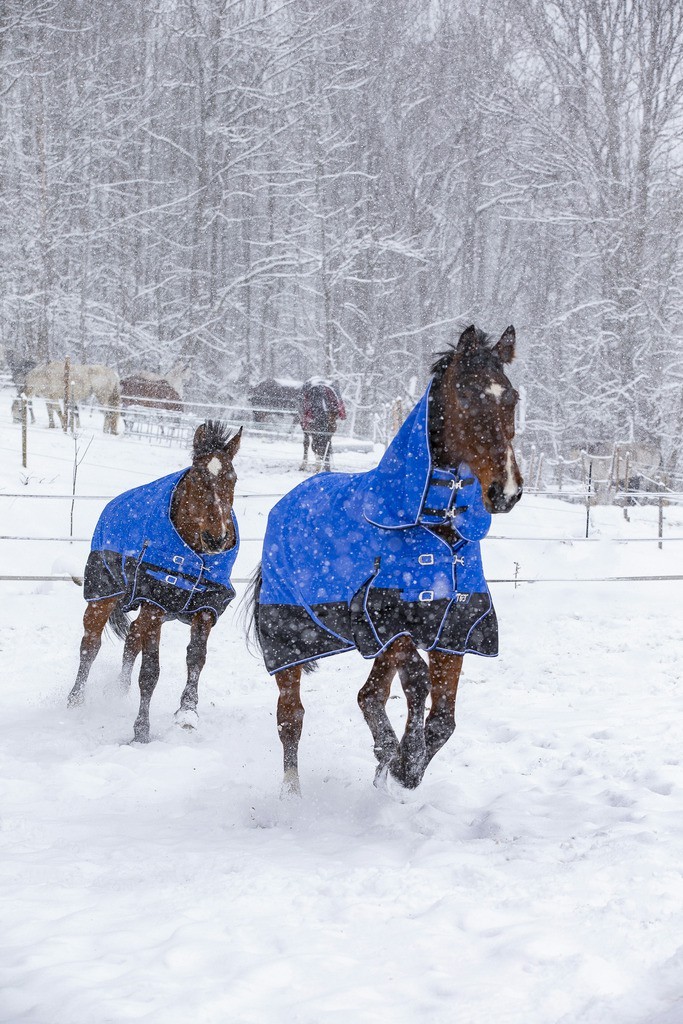 Equithème Tyrex 1200D Aisance High Neck deken Blauw / zwart