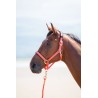 Topaz nylon halster Shires - Grijs