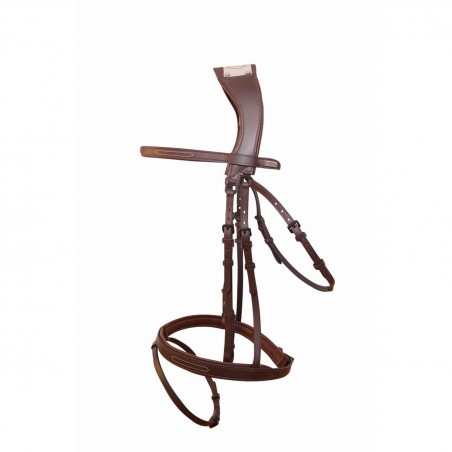 Halter Met Manet Brug T van T