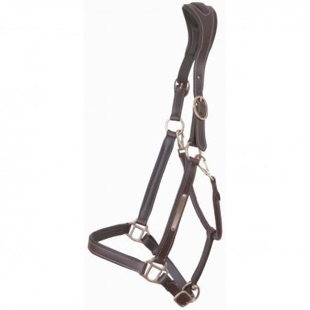 Leren Halster Met Plaat Anatomisch Kopstuk T de T