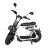 Elektrische scooter E-one 1000W - Wit