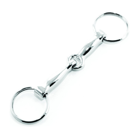 Sleutelhanger van roestvrij staal met bit