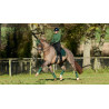 Zadeldek LeMieux Loire Dressuur Square - Groen hunter