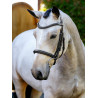Arika Cavesson Bridle LeMieux - Bruin / zilver