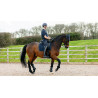 LeMieux Suede Dressage Square Reflective - Marine