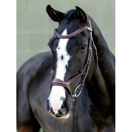 Kudos Sport Bridle LeMieux