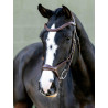 Kudos Sport Bridle LeMieux - Havana / messing