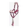 Halster en halstertouw Vogue Hobby Horse LeMieux - Braambes