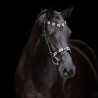 Hoofdstel HV Polo Chaya - Zwart / goud