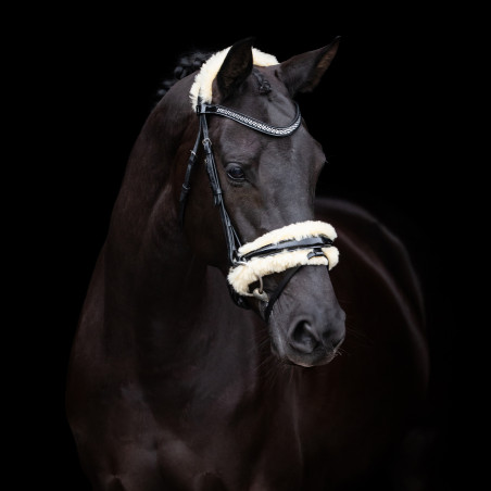Hoofdstel HV Polo Kate