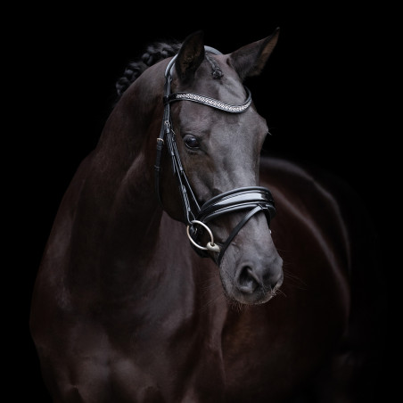 Hoofdstel HV Polo Diana