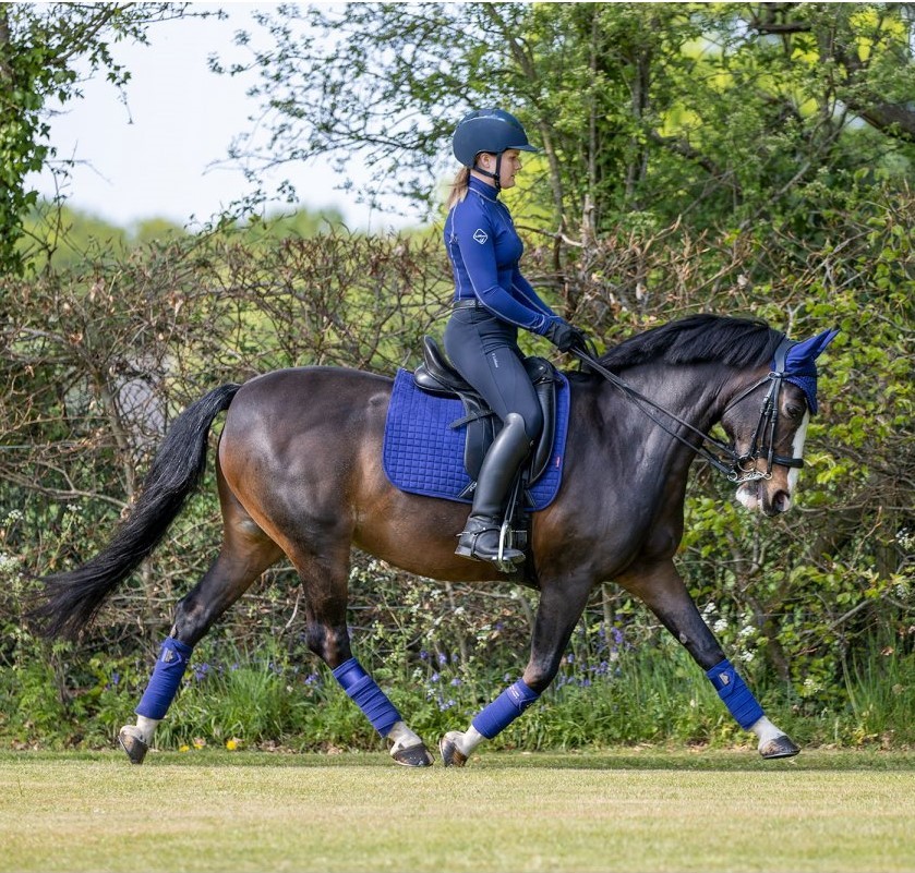 LeMieux Suede Dressuur Zadeldek Benetton blauw