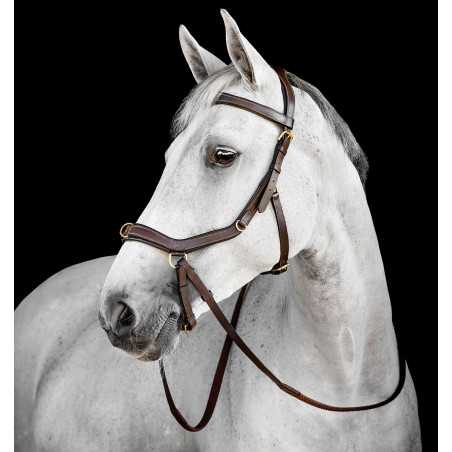 Hoofdstel Horseware Micklem® Multi