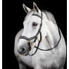 Hoofdstel Horseware Micklem® Multi - Zwart