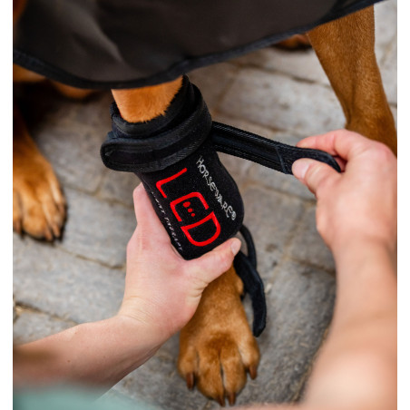 Horseware LED-lichttherapiewindels voor poten van huisdieren Paar