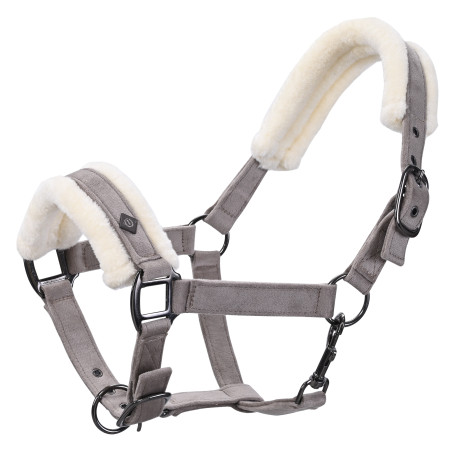 Halster Imperial Riding Bandit