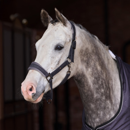 Halster Imperial Riding Penny Herringbone