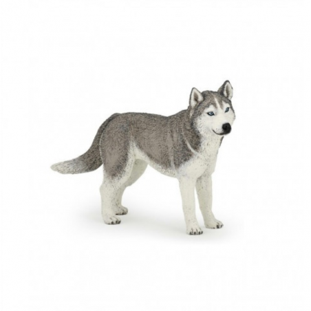 Siberische Husky-figuur Papo