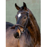 Arika Flash Hoofdstel LeMieux - Bruin / zilver