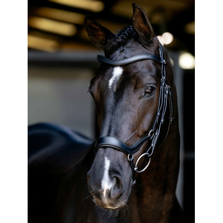 Arika Drop Bridle Zwart/Zilver LeMieux