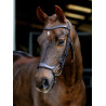 Arika Drop Bridle Zwart/Zilver LeMieux - Bruin / zilver