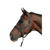 Set halster en longe Gorla Flags & Cup - Pruim